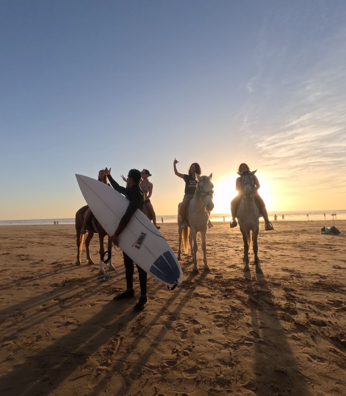 Taghazout beach with horses